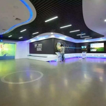 龍虎山旅游廳 裝修制作